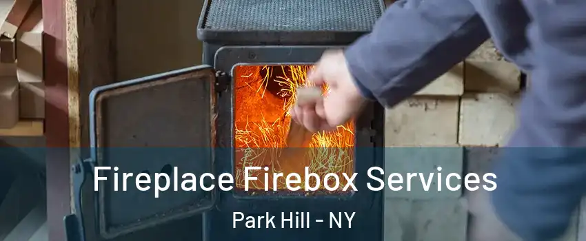 Fireplace Firebox Services Park Hill - NY