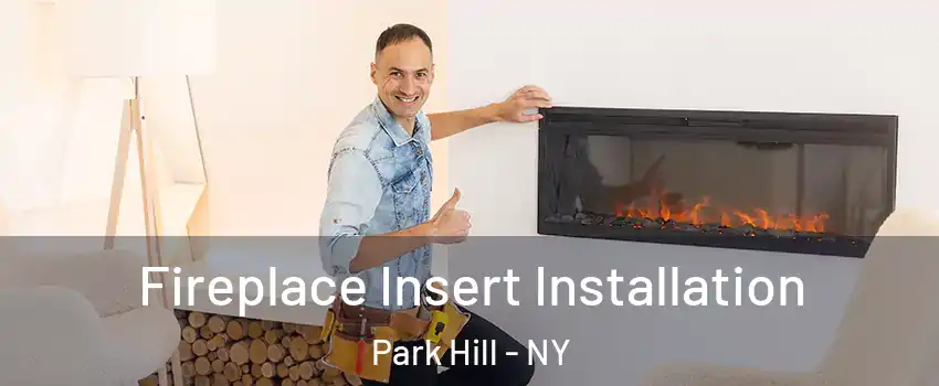 Fireplace Insert Installation Park Hill - NY