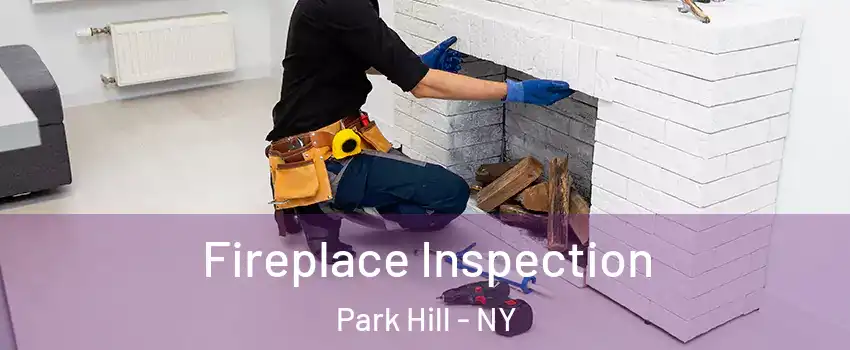 Fireplace Inspection Park Hill - NY