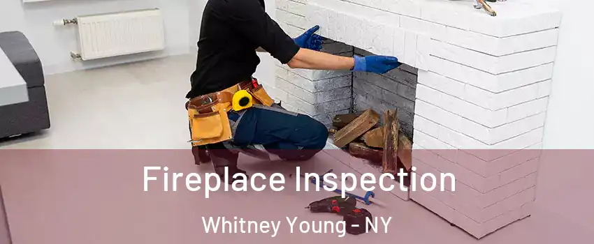Fireplace Inspection Whitney Young - NY