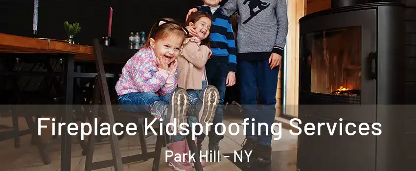 Fireplace Kidsproofing Services Park Hill - NY
