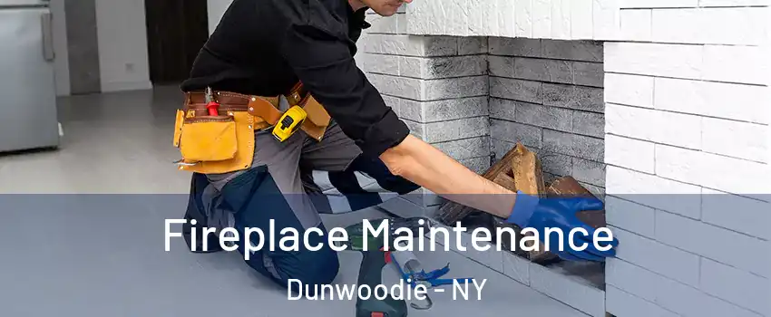 Fireplace Maintenance Dunwoodie - NY