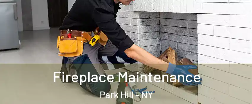 Fireplace Maintenance Park Hill - NY
