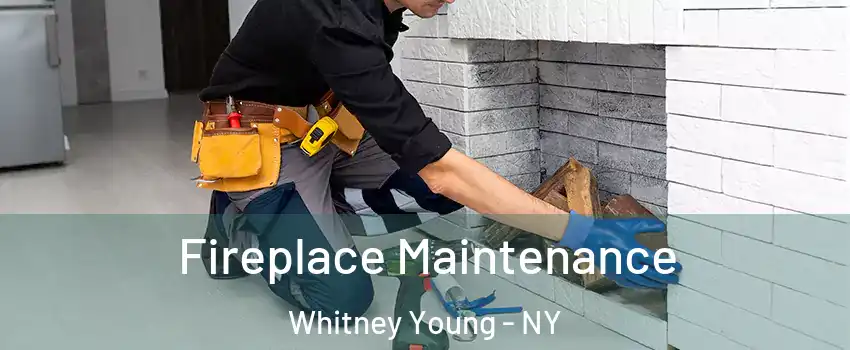 Fireplace Maintenance Whitney Young - NY