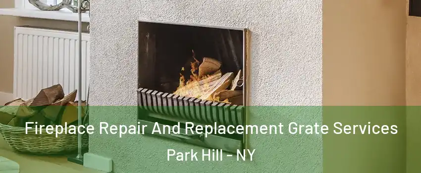 Fireplace Repair And Replacement Grate Services Park Hill - NY