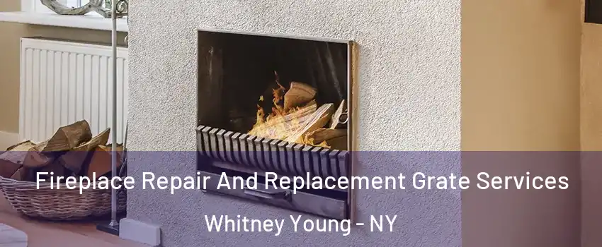 Fireplace Repair And Replacement Grate Services Whitney Young - NY