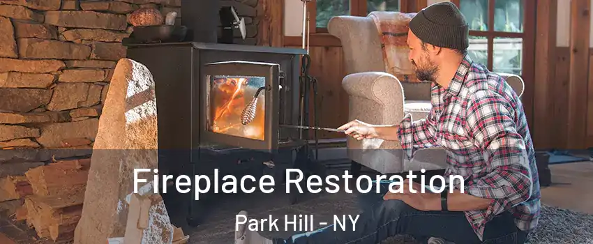 Fireplace Restoration Park Hill - NY