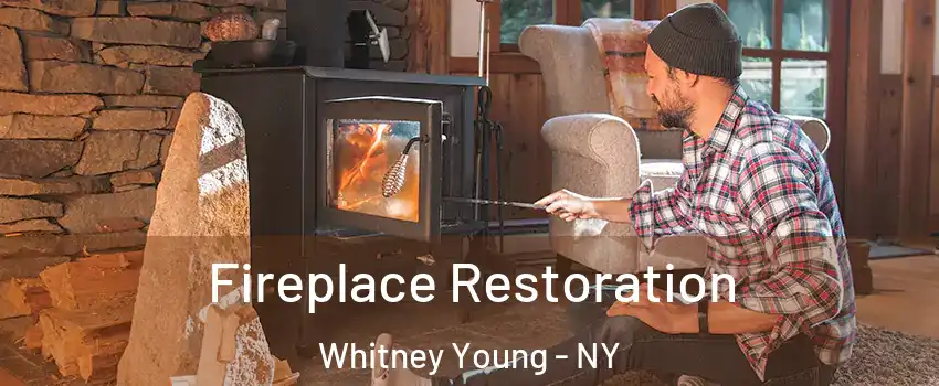Fireplace Restoration Whitney Young - NY