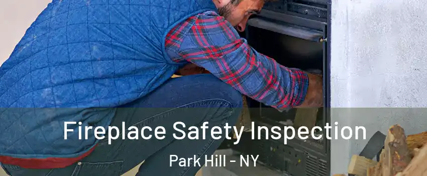 Fireplace Safety Inspection Park Hill - NY