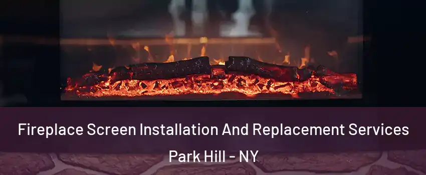 Fireplace Screen Installation And Replacement Services Park Hill - NY