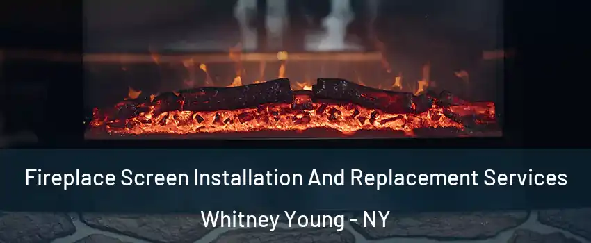 Fireplace Screen Installation And Replacement Services Whitney Young - NY