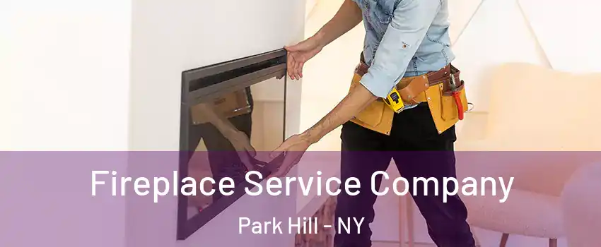 Fireplace Service Company Park Hill - NY