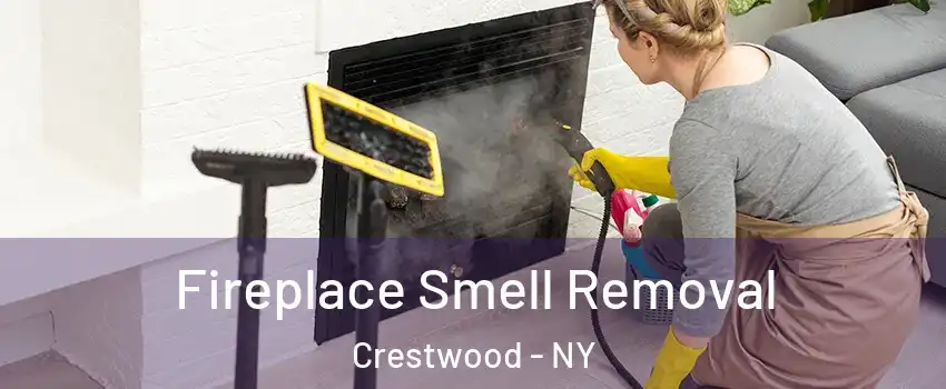 Fireplace Smell Removal Crestwood - NY