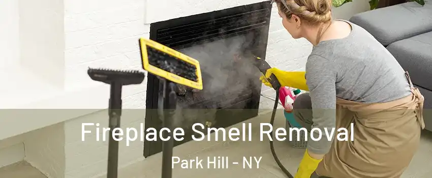 Fireplace Smell Removal Park Hill - NY