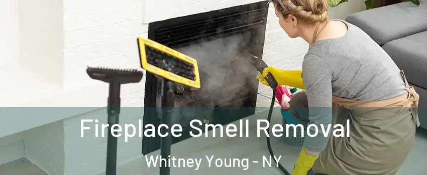 Fireplace Smell Removal Whitney Young - NY