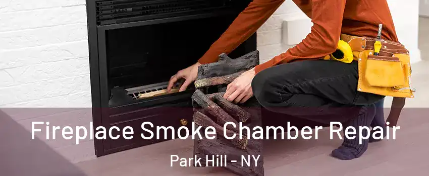 Fireplace Smoke Chamber Repair Park Hill - NY