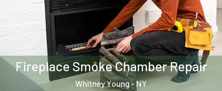 Fireplace Smoke Chamber Repair Whitney Young - NY
