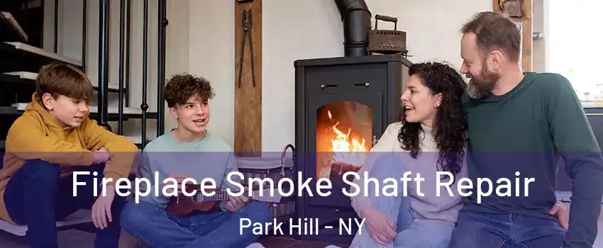 Fireplace Smoke Shaft Repair Park Hill - NY