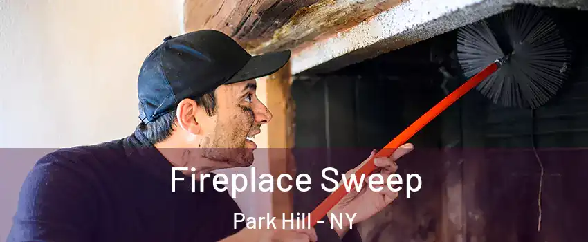 Fireplace Sweep Park Hill - NY