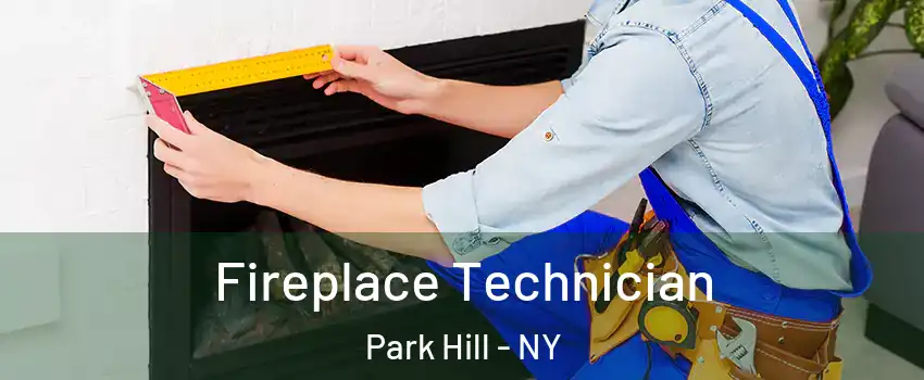 Fireplace Technician Park Hill - NY