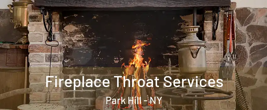 Fireplace Throat Services Park Hill - NY
