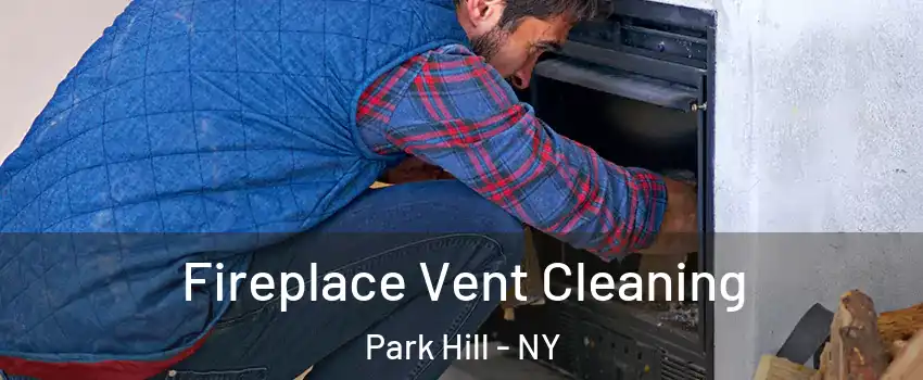 Fireplace Vent Cleaning Park Hill - NY