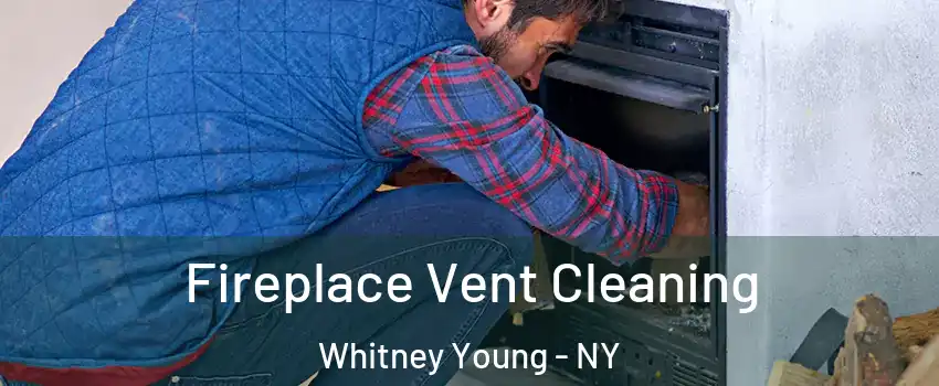 Fireplace Vent Cleaning Whitney Young - NY