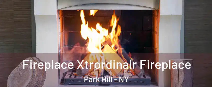 Fireplace Xtrordinair Fireplace Park Hill - NY