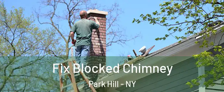 Fix Blocked Chimney Park Hill - NY