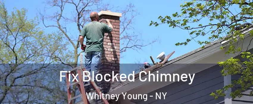 Fix Blocked Chimney Whitney Young - NY