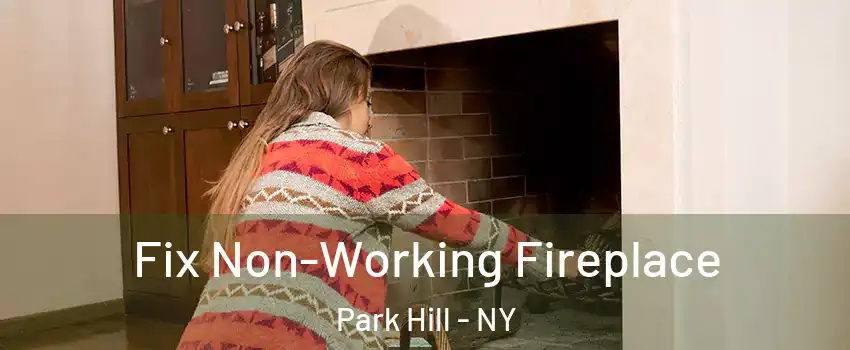 Fix Non-Working Fireplace Park Hill - NY