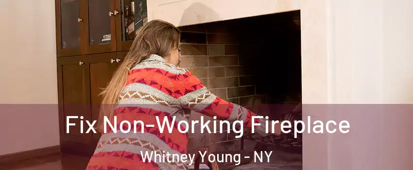 Fix Non-Working Fireplace Whitney Young - NY