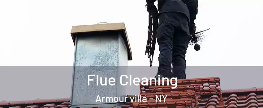 Flue Cleaning Armour villa - NY