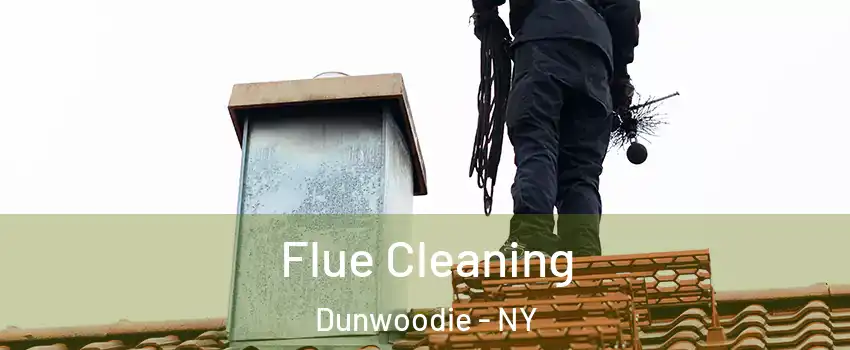 Flue Cleaning Dunwoodie - NY