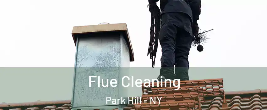 Flue Cleaning Park Hill - NY