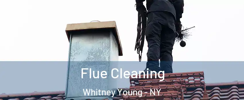 Flue Cleaning Whitney Young - NY