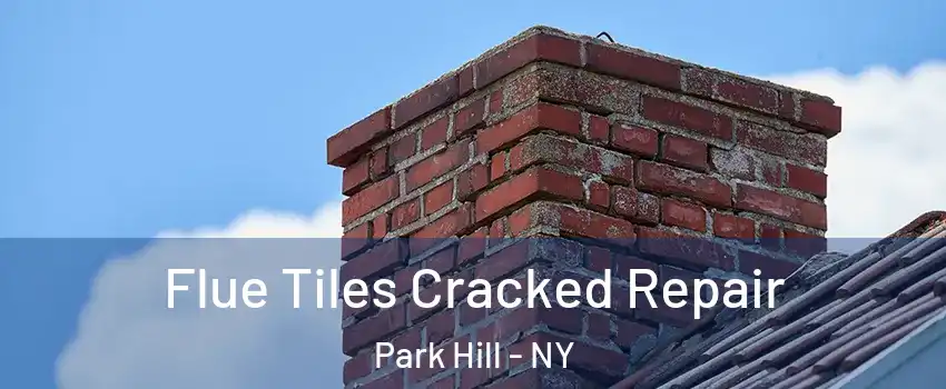 Flue Tiles Cracked Repair Park Hill - NY
