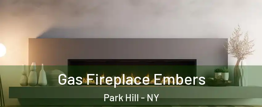 Gas Fireplace Embers Park Hill - NY