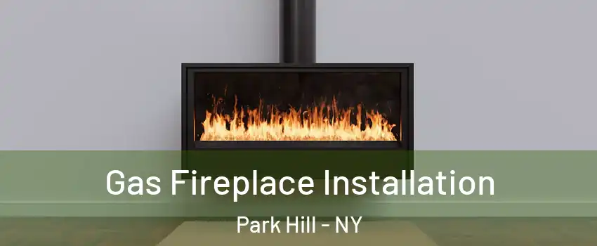 Gas Fireplace Installation Park Hill - NY