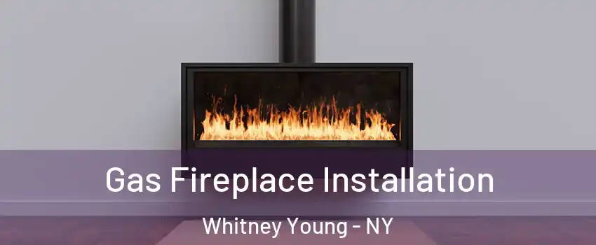 Gas Fireplace Installation Whitney Young - NY