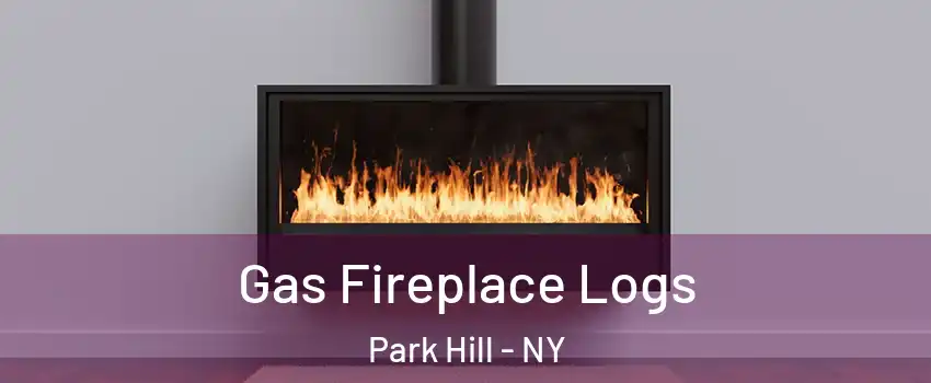 Gas Fireplace Logs Park Hill - NY