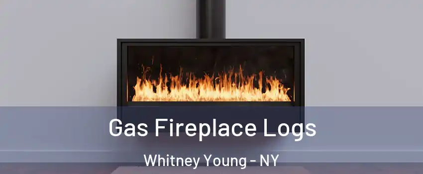 Gas Fireplace Logs Whitney Young - NY