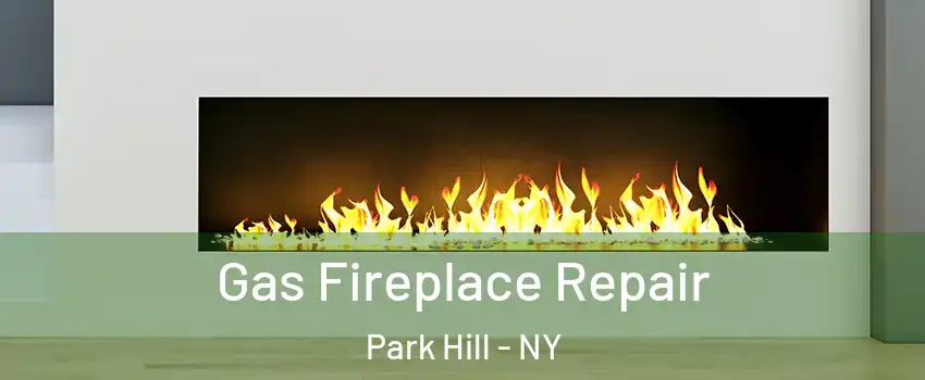 Gas Fireplace Repair Park Hill - NY