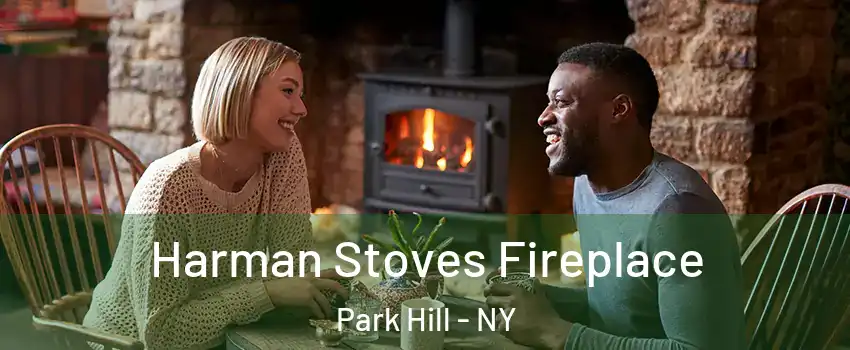 Harman Stoves Fireplace Park Hill - NY