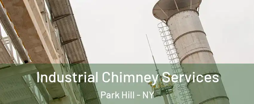 Industrial Chimney Services Park Hill - NY