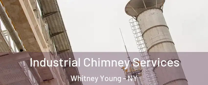 Industrial Chimney Services Whitney Young - NY