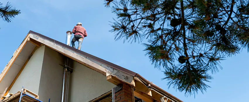 Birds Removal Contractors from Chimney in Getty Square, NY