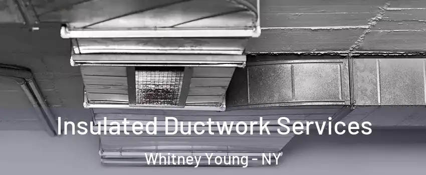 Insulated Ductwork Services Whitney Young - NY