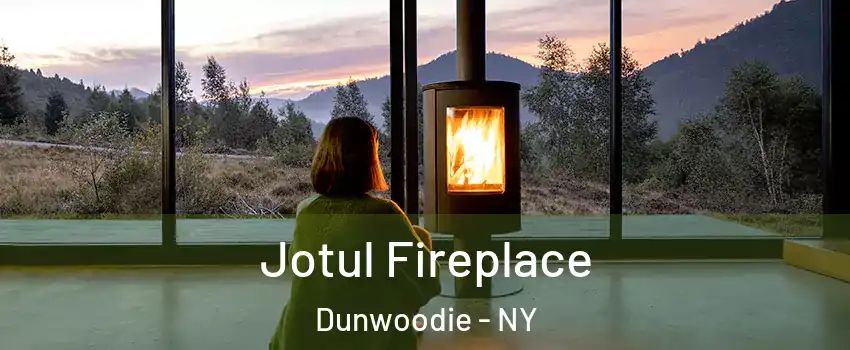 Jotul Fireplace Dunwoodie - NY