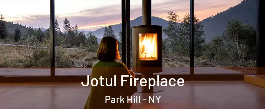 Jotul Fireplace Park Hill - NY